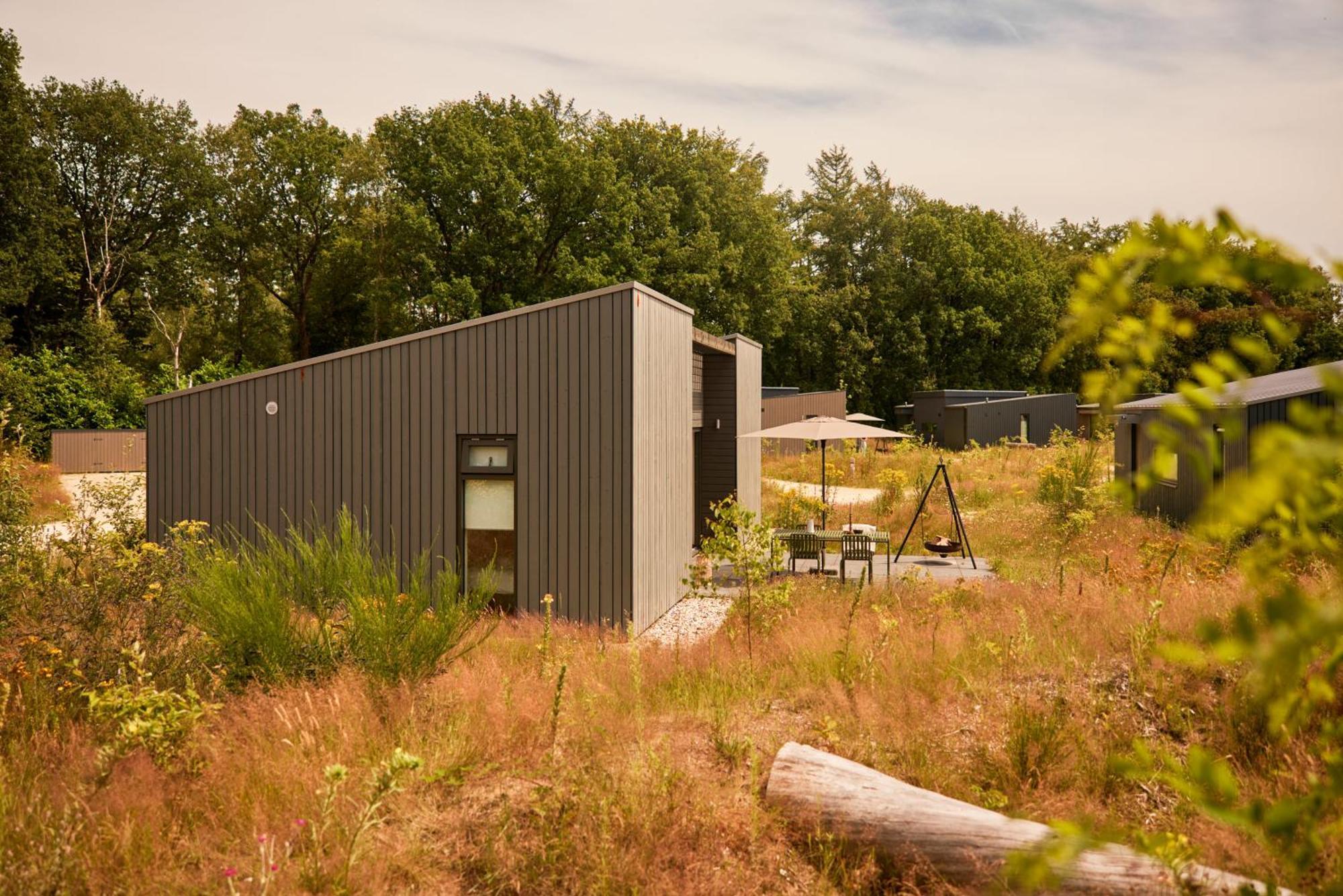 Dutchen Zeegser Duinen Suitelodges Esterno foto