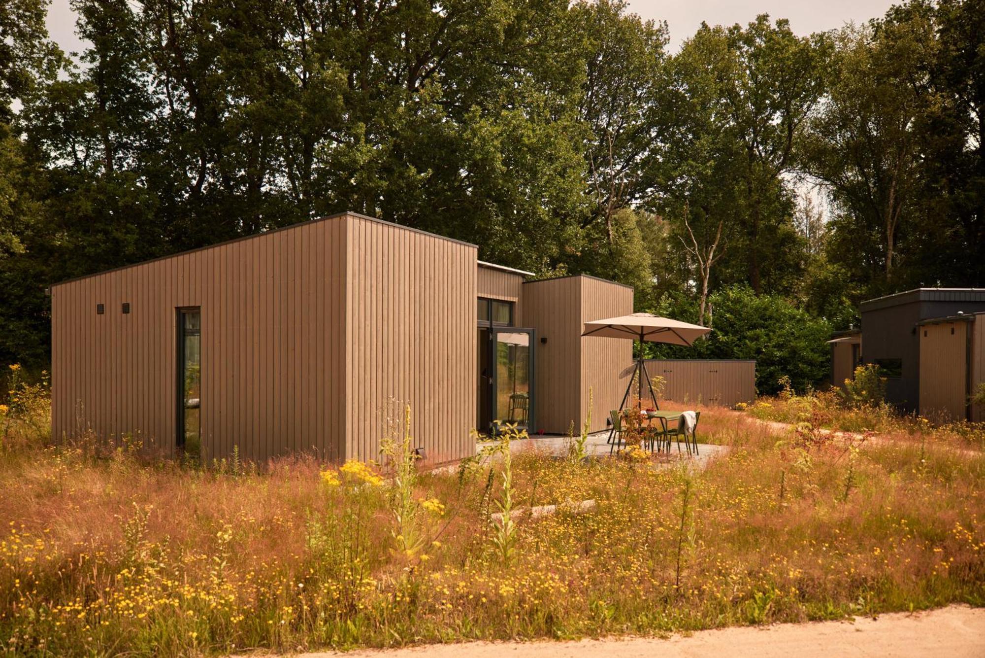 Dutchen Zeegser Duinen Suitelodges Esterno foto